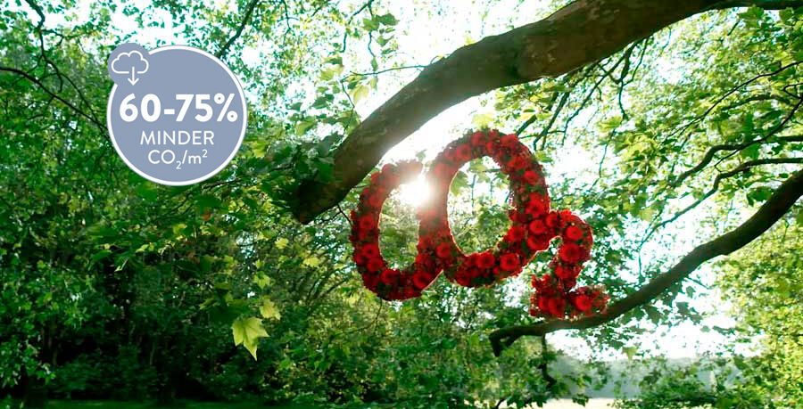 Ecoterra CO2 Wald 60 75 NL